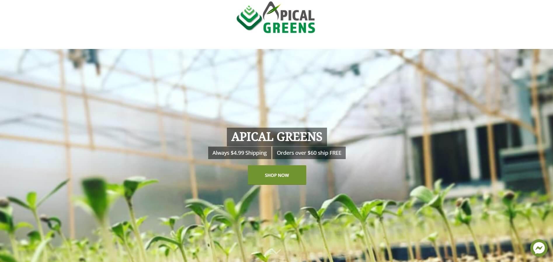 Valley List Welcomes - Apical Greens 1